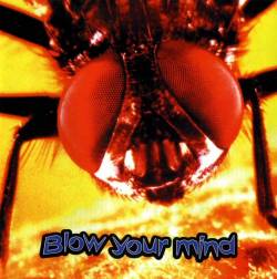 More República Masónica : Blow Your Mind More República Masónica : Blow Your Mind